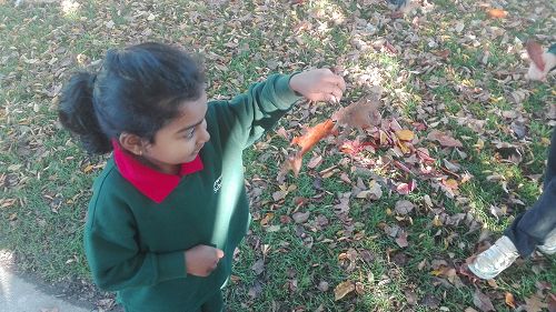 Autumn Fun
