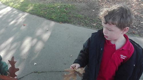 Autumn Fun