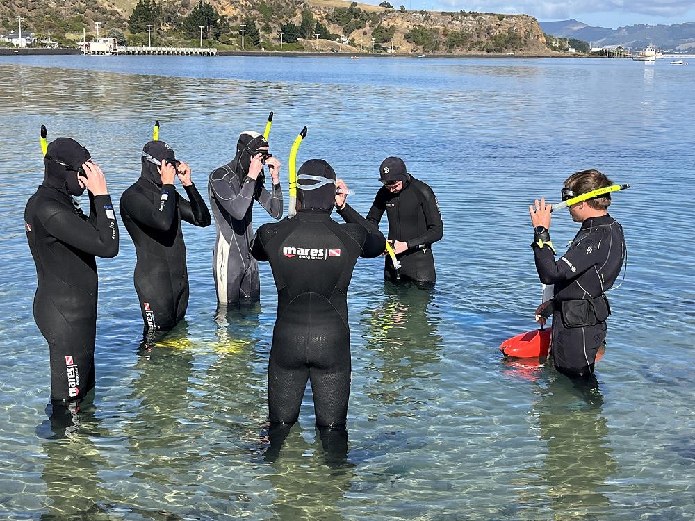 Biology snorkelling trip