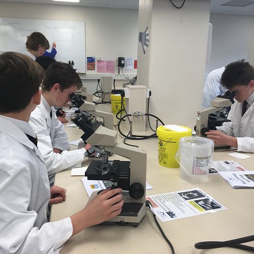Examining samples