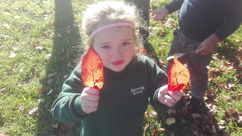 Autumn Fun