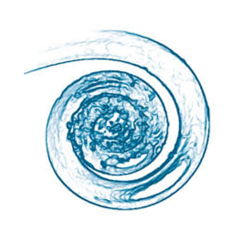 Organisation logo