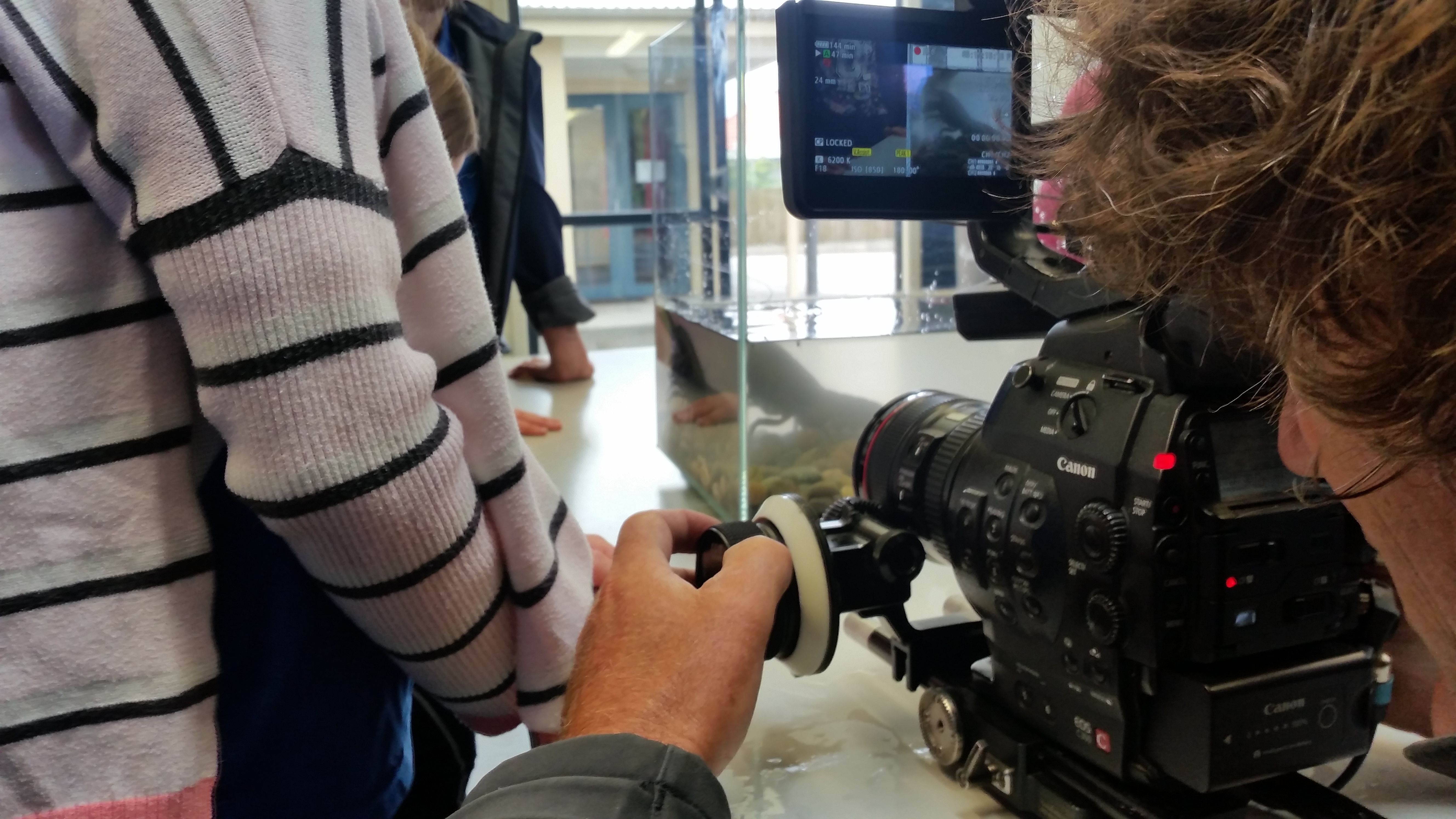 Country Calendar Filming about Freshwater Crayfish
