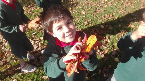Autumn Fun