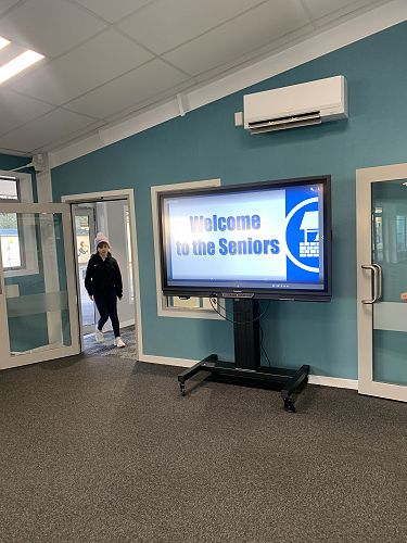 Welcome Lucy to the new space! 