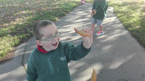 Autumn Fun