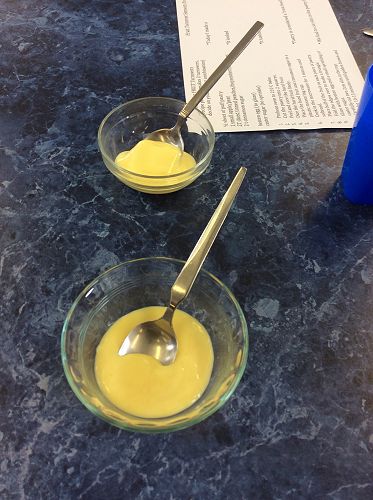 Custard comparison testing. Homemade v Processed