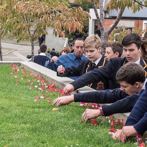 Poppies are placed.