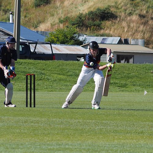 Queenstown Cricket Carnival