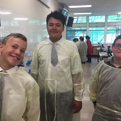 Testing DNA samples in the lab