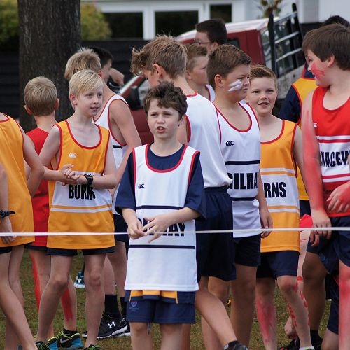 Junior students watch athletics events