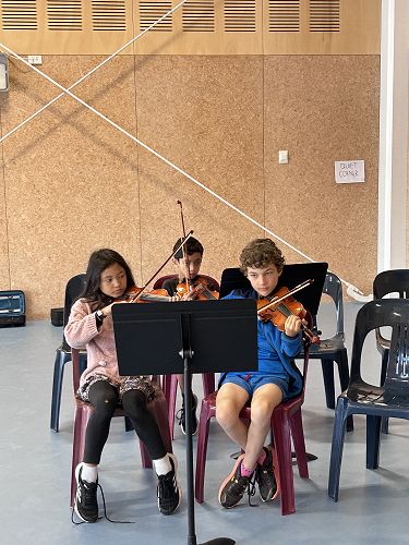 Our orchestra meet every Friday