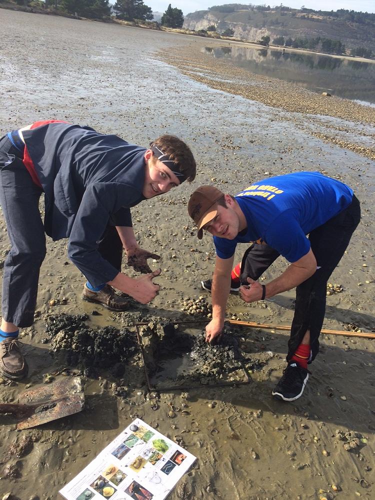 Morgan and Hunter analysing the contents of a quadrat
