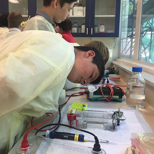Testing DNA Samples in the Lab
