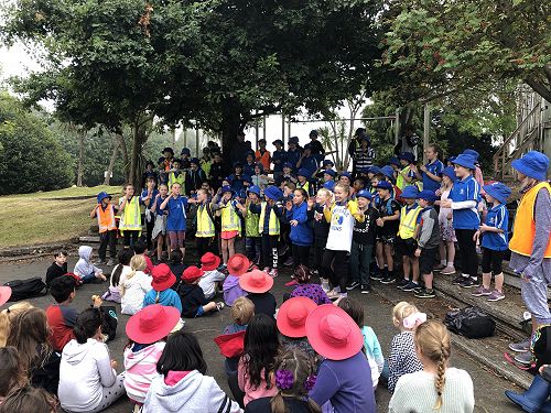 Y5 Activities