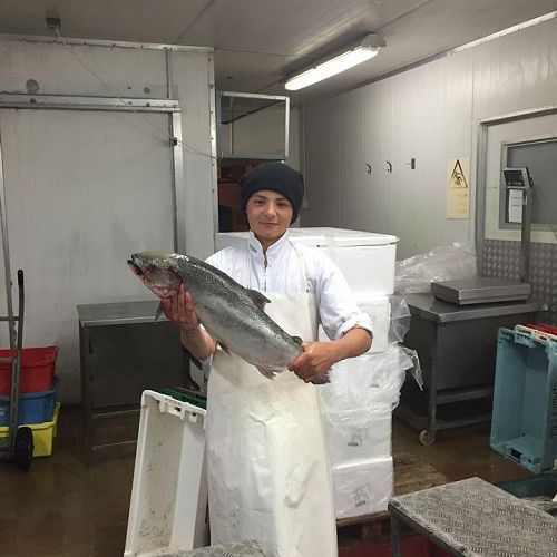 JB Lowery on work experience at Blue Water Fish