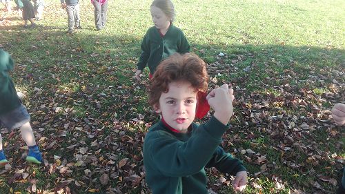 Autumn Fun