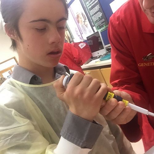 Testing DNA samples in the lab