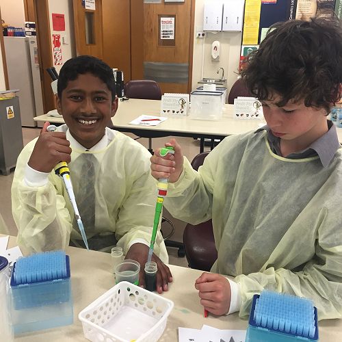 Testing DNA Samples in the Lab