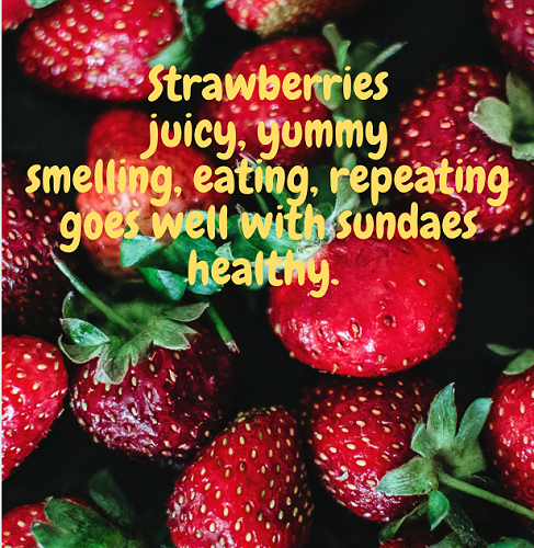 Strawberries - Maxi K