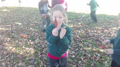 Autumn Fun