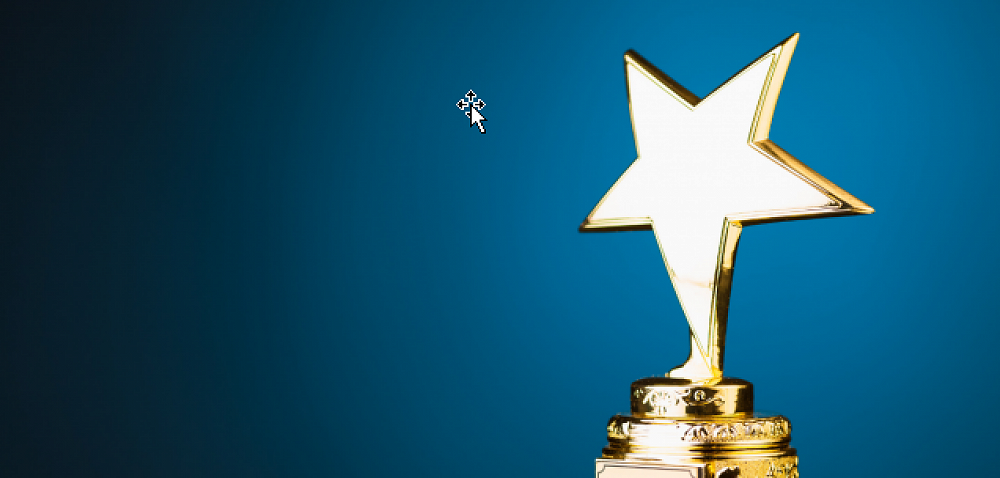 Sports Awards — 2025 Award Recipients