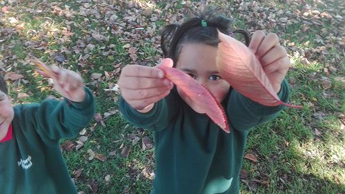 Autumn Fun