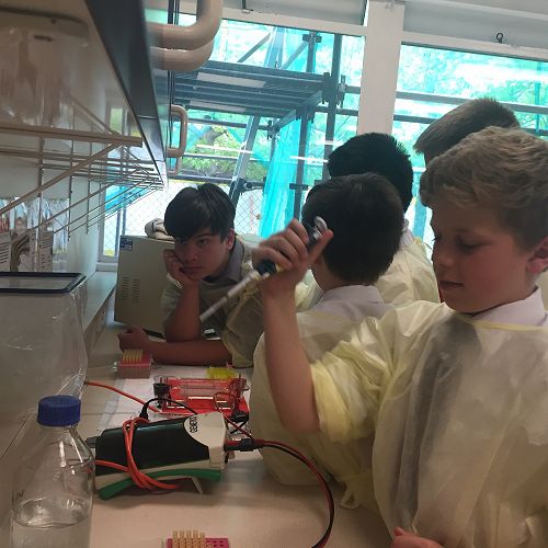 Testing DNA samples in the lab