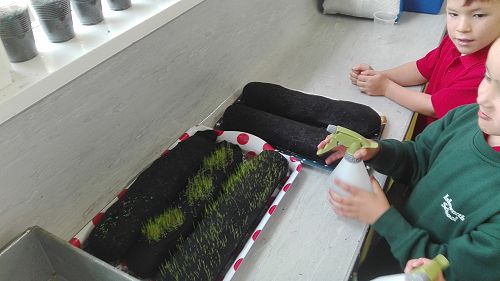 Awa Gardening