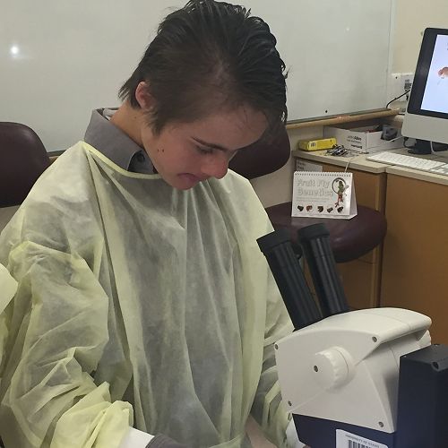 Discovering Fruit Fly Mutations