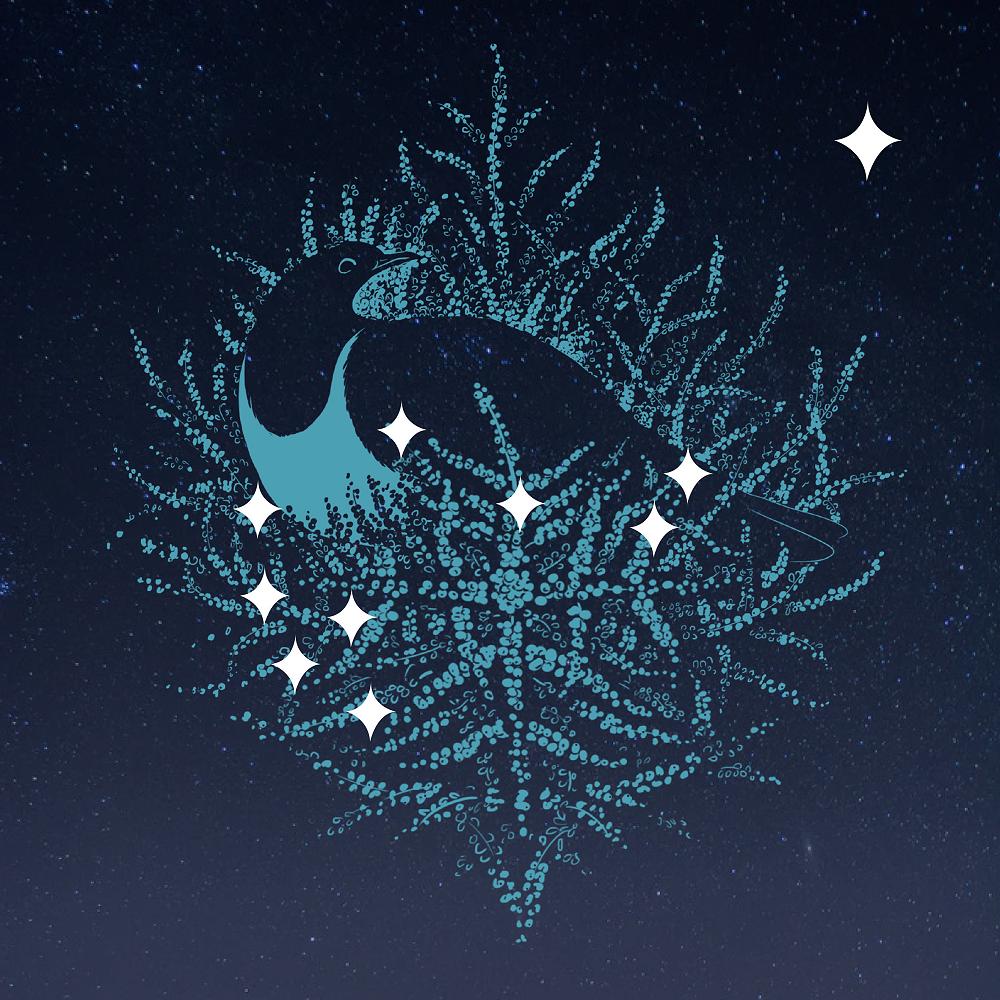 The 2023 Dunedin Puaka Matariki Festival event registration and contestable funding round is open