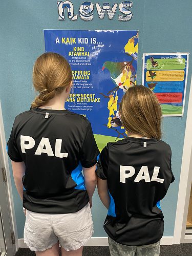 Our New PALS T-Shirts