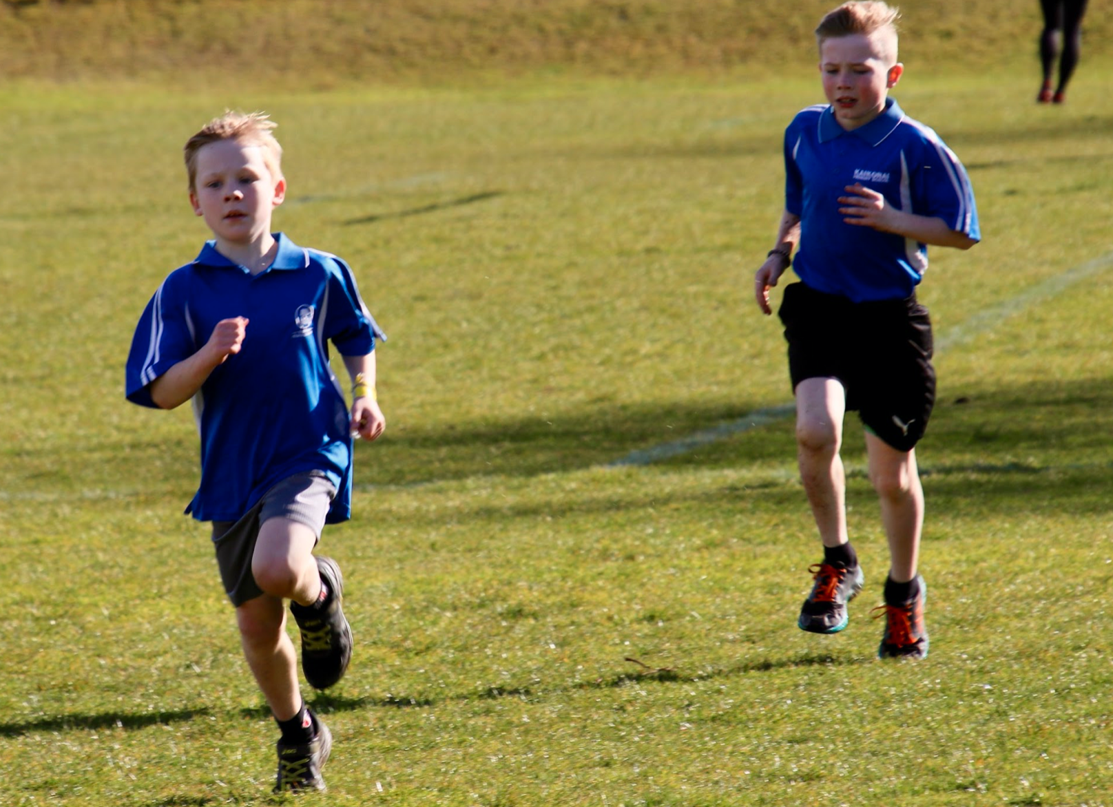 Sports Wrap Up