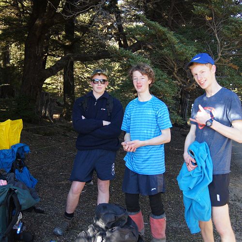 Jack, Sam and Riley at the edge of the bush