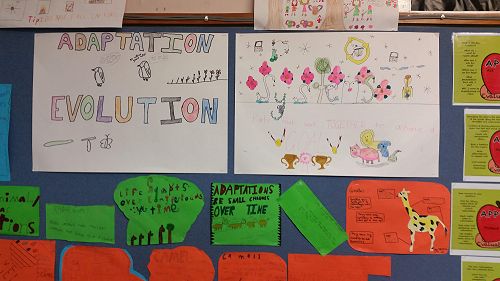 Adaptation Learning
