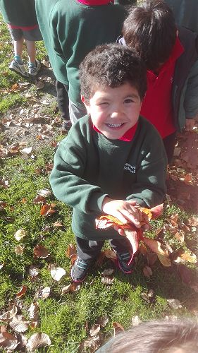 Autumn Fun