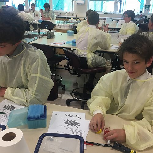 Testing DNA samples in the lab