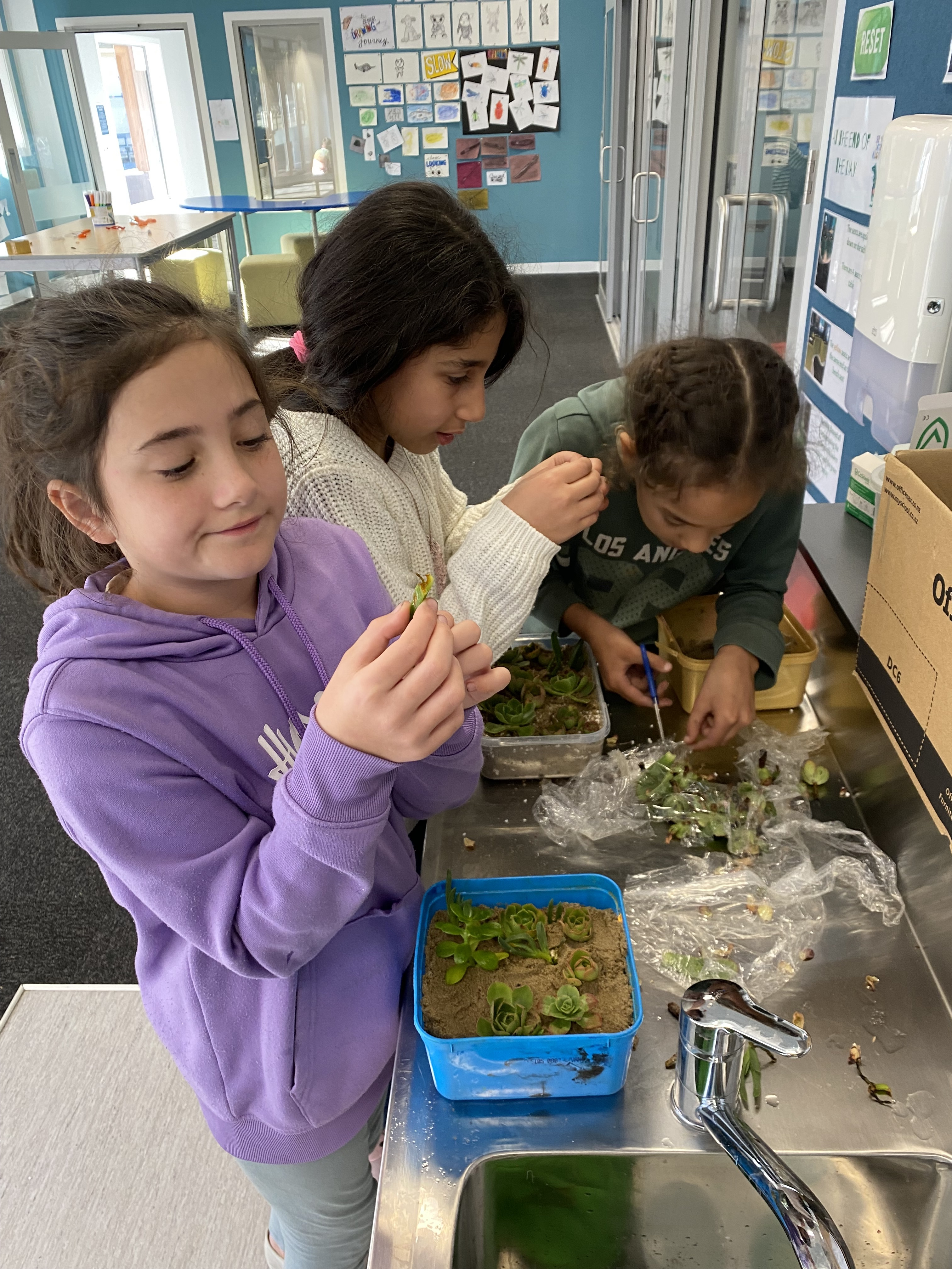 Senior News- Ka mahi tahi mātou. We will work together