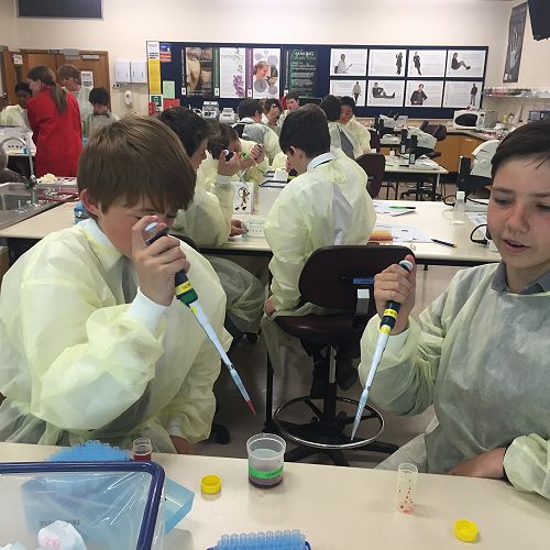 Testing DNA Samples in the Lab
