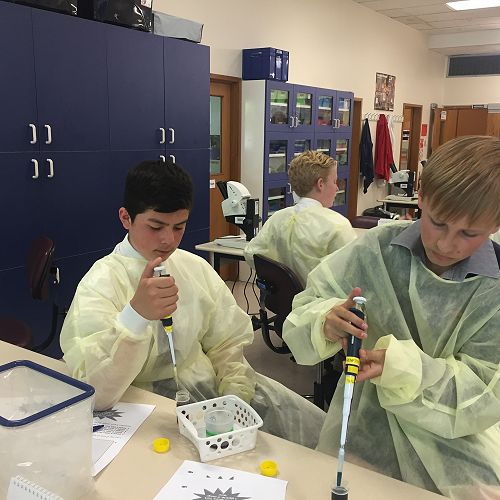 Testing DNA Samples in the Lab