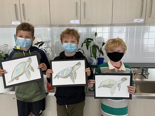 Levi, Theo and James share their turtle art - linked to the Zones of regulation