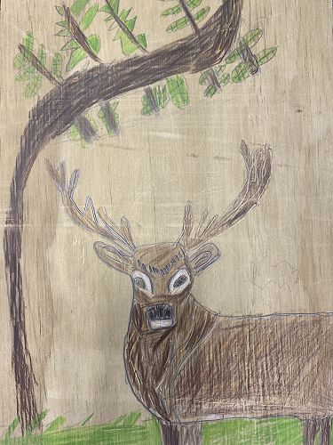 Xandar-Wood Art Sketch