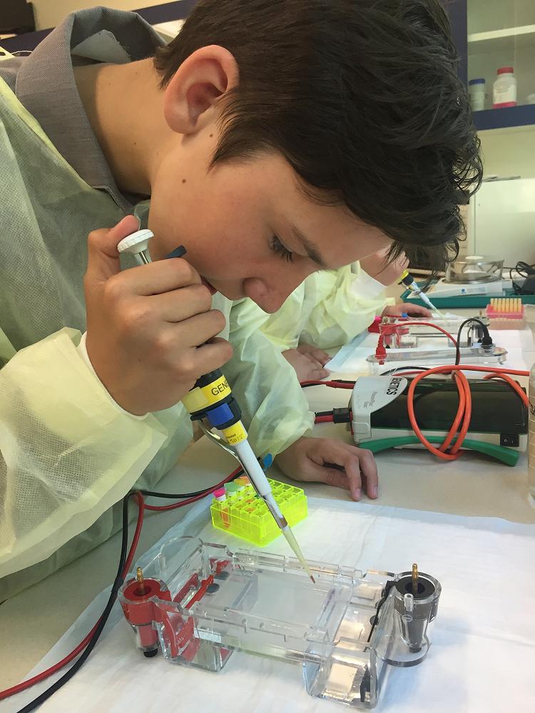 Testing DNA Samples in the Lab