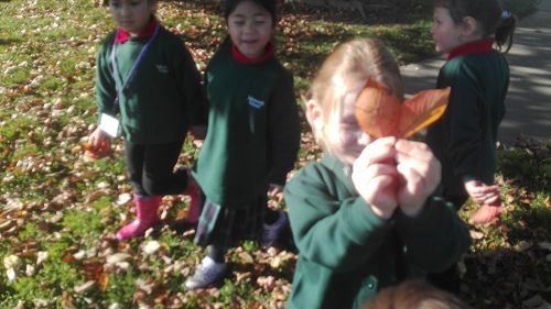 Autumn Fun