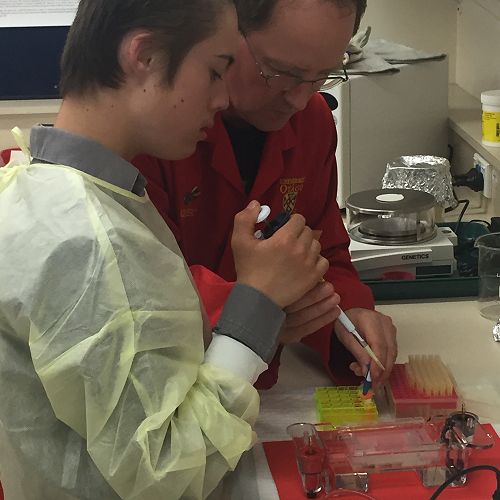 Testing DNA samples in the lab