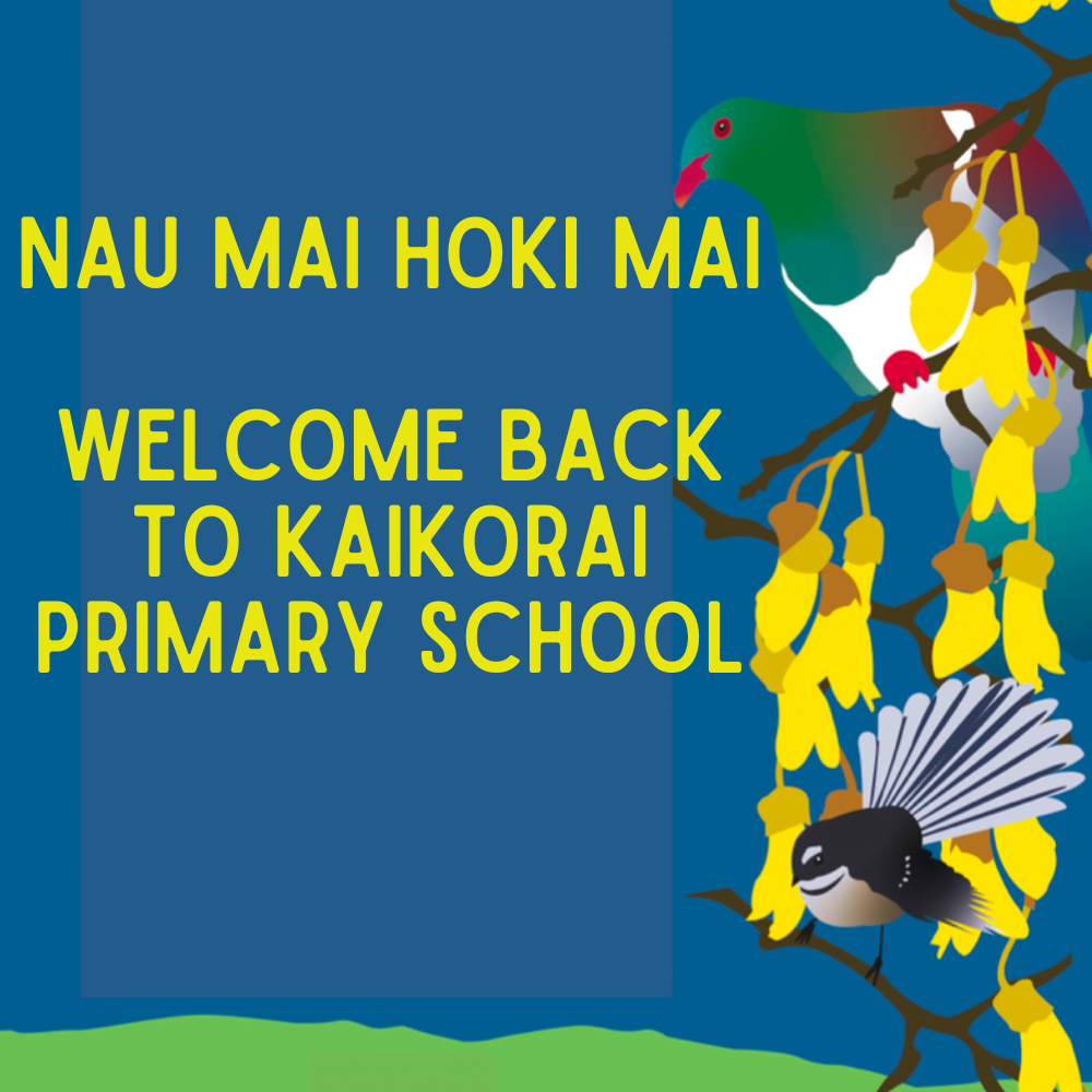 Nau mai hoki mai - welcome back!