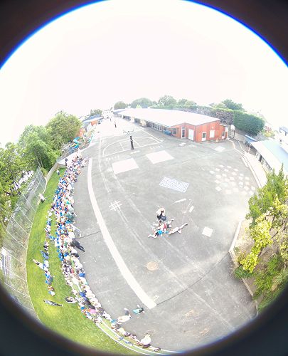 Opening of the field.