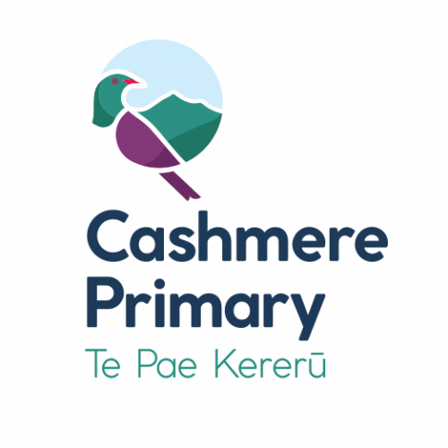 Organisation logo