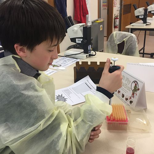 Testing DNA Samples in the Lab