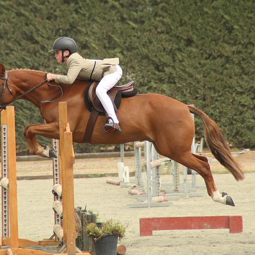 Quinn Coutts (Y7) riding Goosebumps while competing at the National Show Jumping and Show Hunter Champs in Christchurch in February.
